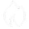Fire icon